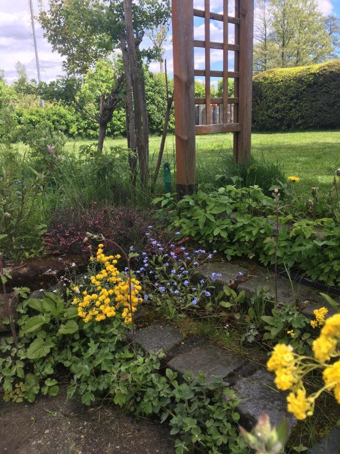 Familienapartments Mit Balkon Und Garten Ober-Lembach Luaran gambar