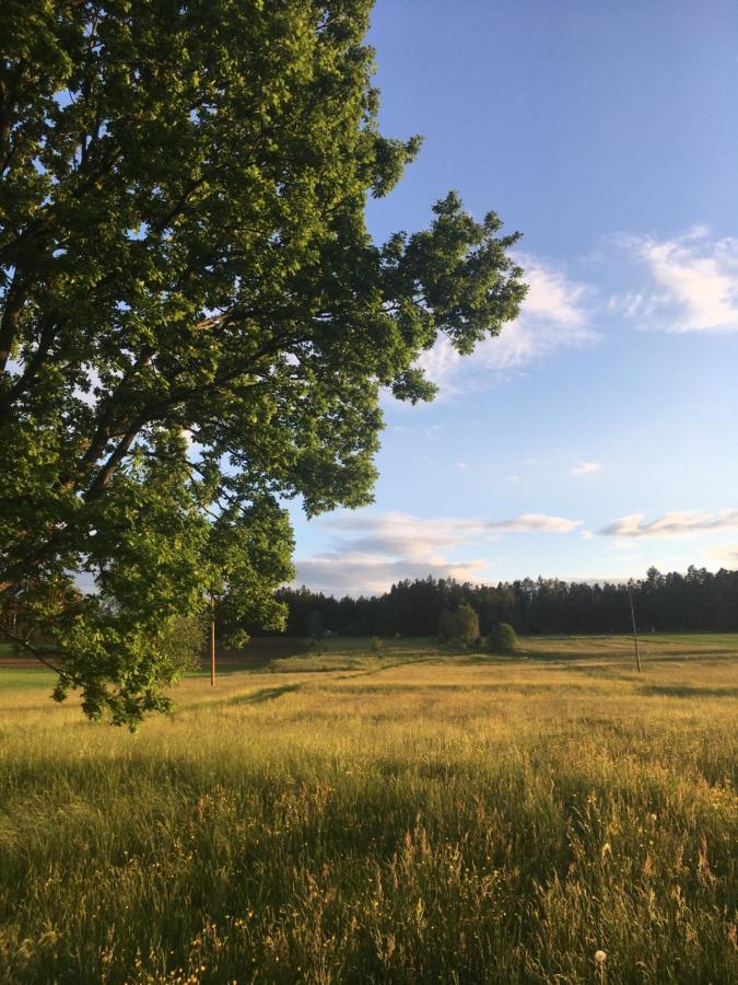Familienapartments Mit Balkon Und Garten Ober-Lembach Luaran gambar